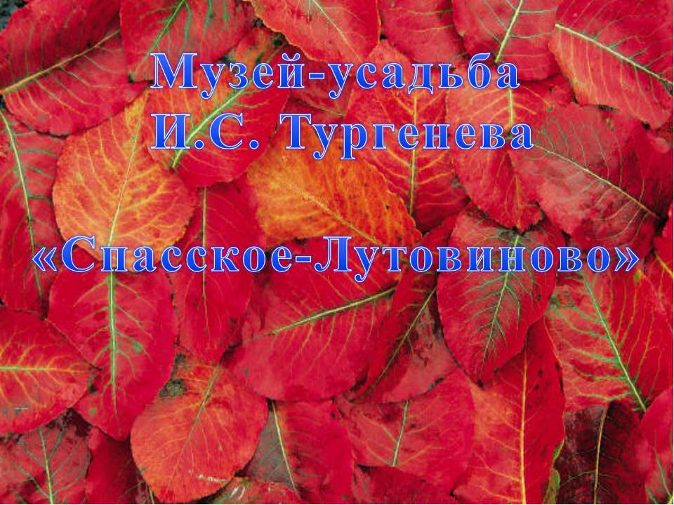 Музей-усадьба И.С. Тургенева «Спасское-Лутовиново» - Класс учебник | Академический школьный учебник скачать | Сайт школьных книг учебников uchebniki.org.ua