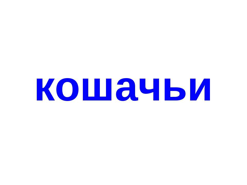 Кошачьи - Класс учебник | Академический школьный учебник скачать | Сайт школьных книг учебников uchebniki.org.ua