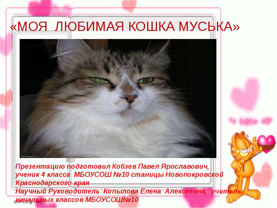 Моя любимая кошка Муська - Класс учебник | Академический школьный учебник скачать | Сайт школьных книг учебников uchebniki.org.ua