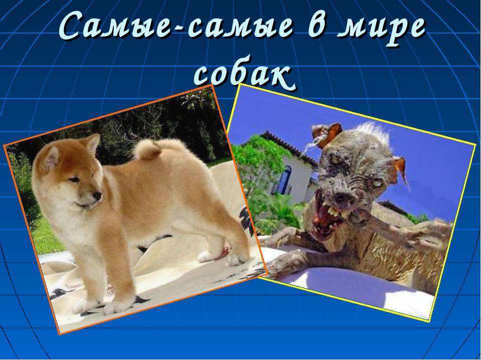Самые-самые в мире собак - Класс учебник | Академический школьный учебник скачать | Сайт школьных книг учебников uchebniki.org.ua