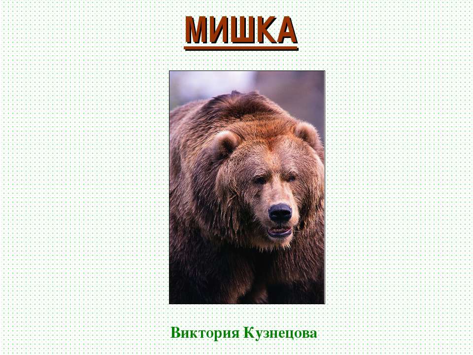 Мишка косолапый - Класс учебник | Академический школьный учебник скачать | Сайт школьных книг учебников uchebniki.org.ua