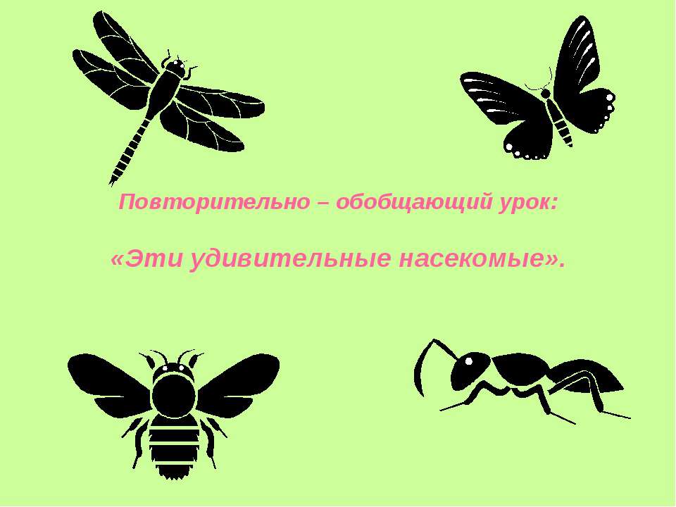 Эти удивительные насекомые - Класс учебник | Академический школьный учебник скачать | Сайт школьных книг учебников uchebniki.org.ua