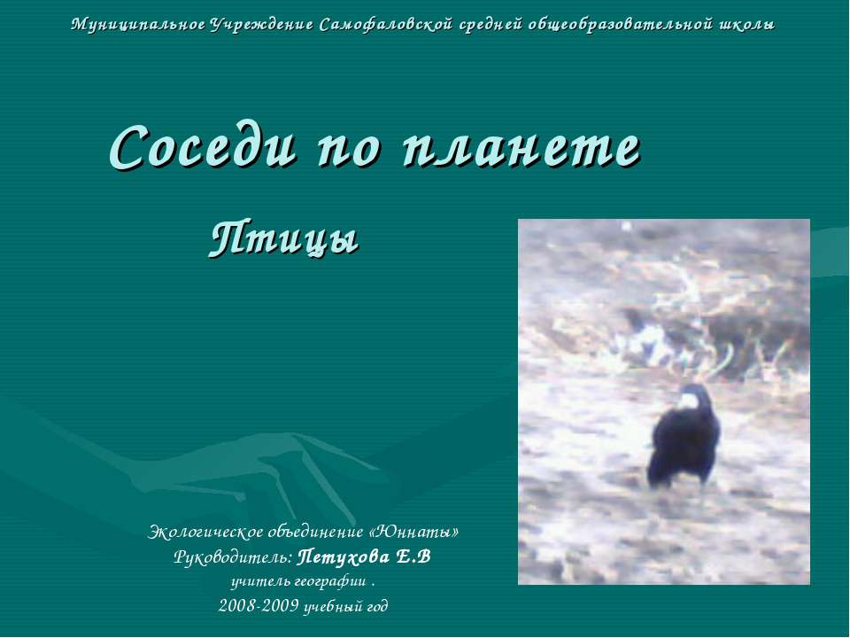 Соседи по планете Птицы - Класс учебник | Академический школьный учебник скачать | Сайт школьных книг учебников uchebniki.org.ua