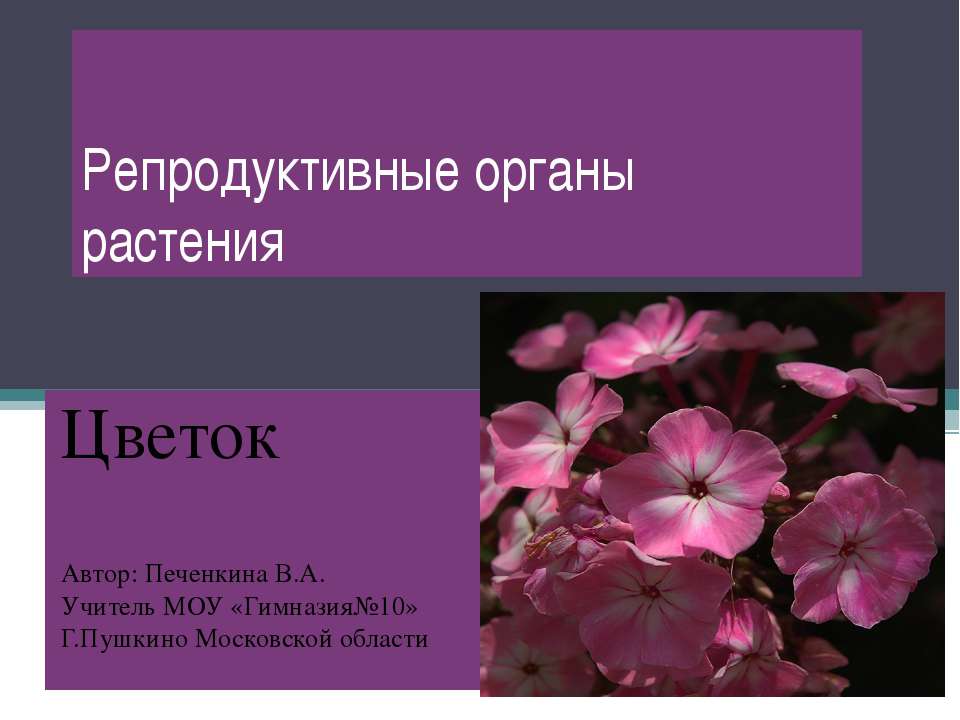 Репродуктивные органы растения - Класс учебник | Академический школьный учебник скачать | Сайт школьных книг учебников uchebniki.org.ua