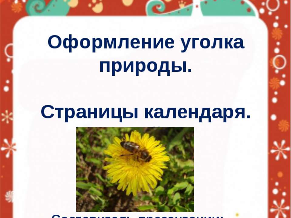 Оформление уголка природы - Класс учебник | Академический школьный учебник скачать | Сайт школьных книг учебников uchebniki.org.ua