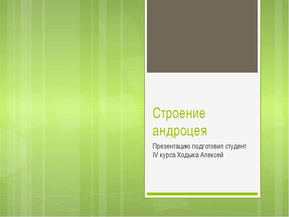 Строение андроцея - Класс учебник | Академический школьный учебник скачать | Сайт школьных книг учебников uchebniki.org.ua