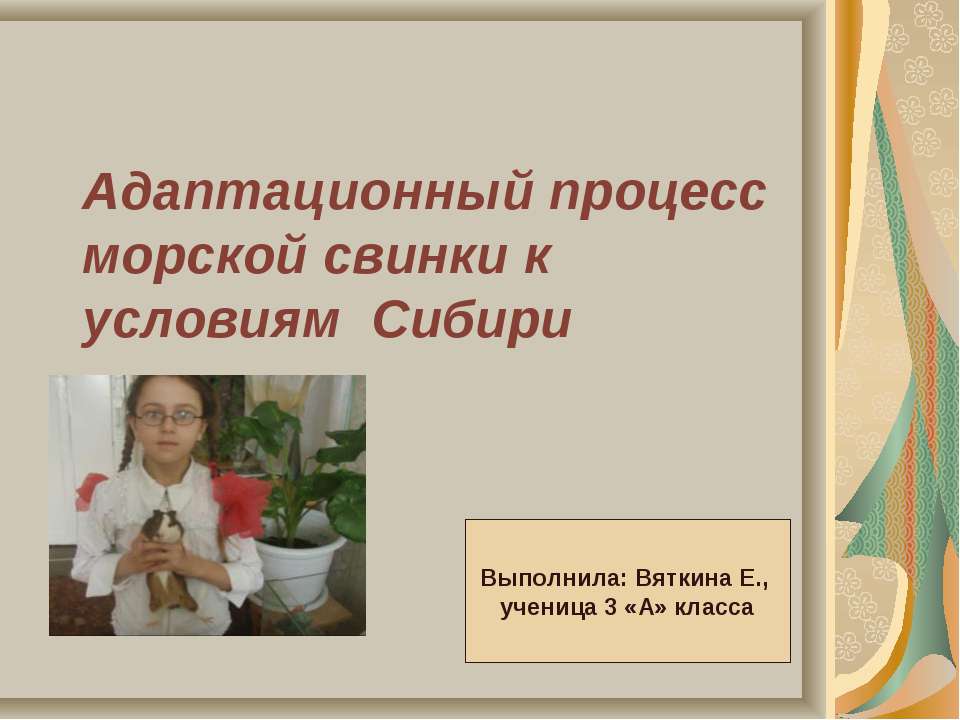 Адаптационный процесс морской свинки к условиям Сибири - Класс учебник | Академический школьный учебник скачать | Сайт школьных книг учебников uchebniki.org.ua