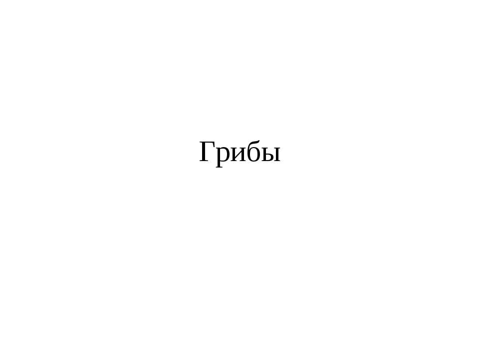 Грибы - Класс учебник | Академический школьный учебник скачать | Сайт школьных книг учебников uchebniki.org.ua