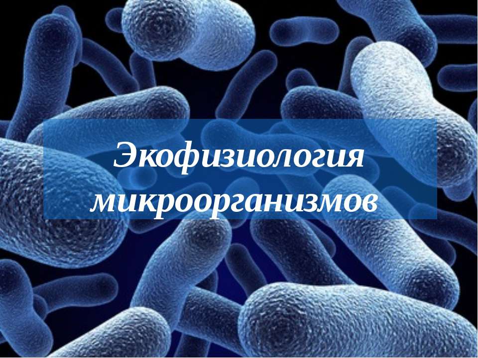 Экофизиология микроорганизмов - Класс учебник | Академический школьный учебник скачать | Сайт школьных книг учебников uchebniki.org.ua