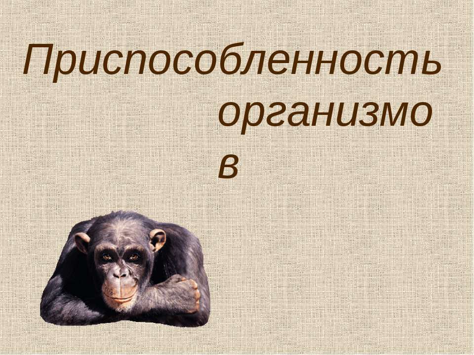 Приспособленность организмов - Класс учебник | Академический школьный учебник скачать | Сайт школьных книг учебников uchebniki.org.ua