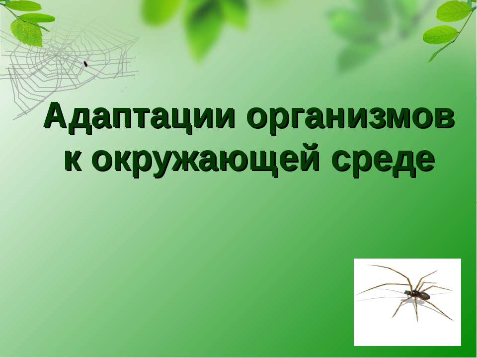 Адаптации организмов к окружающей среде - Класс учебник | Академический школьный учебник скачать | Сайт школьных книг учебников uchebniki.org.ua