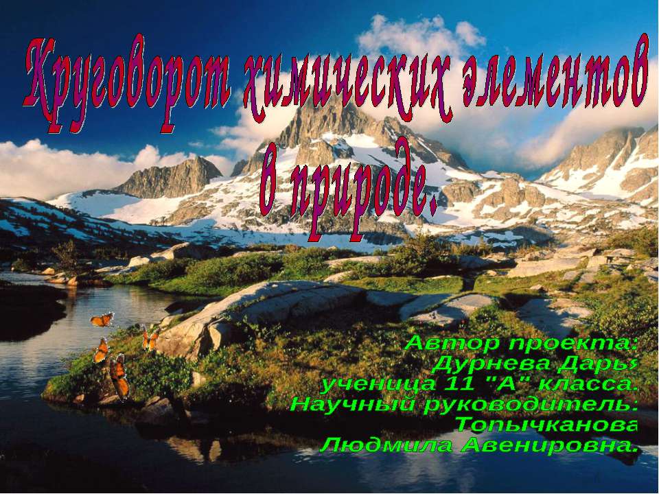 Круговорот химических элементов в природе - Класс учебник | Академический школьный учебник скачать | Сайт школьных книг учебников uchebniki.org.ua