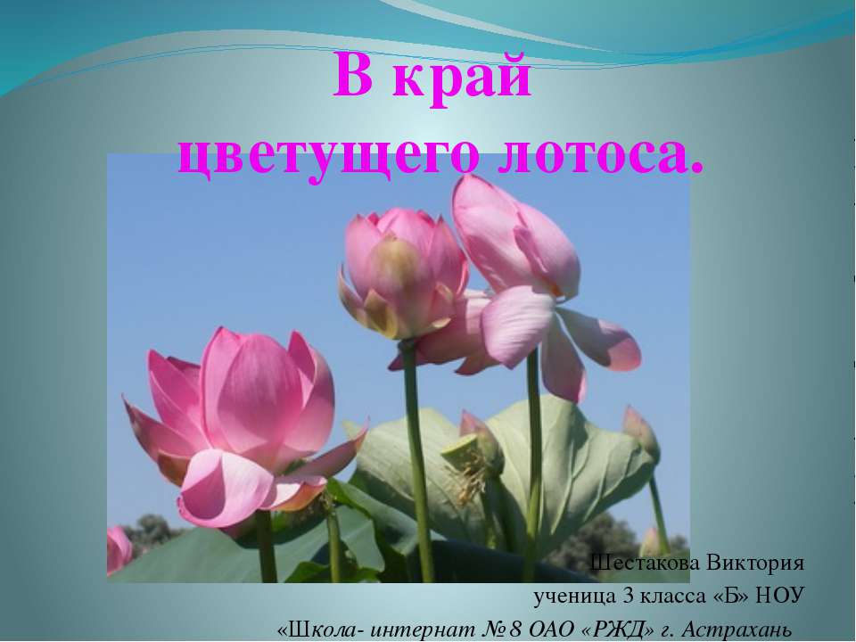 В край цветущего лотоса - Класс учебник | Академический школьный учебник скачать | Сайт школьных книг учебников uchebniki.org.ua