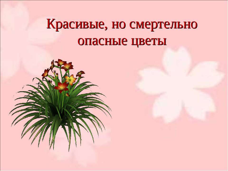 Красивые, но смертельно опасные цветы - Класс учебник | Академический школьный учебник скачать | Сайт школьных книг учебников uchebniki.org.ua