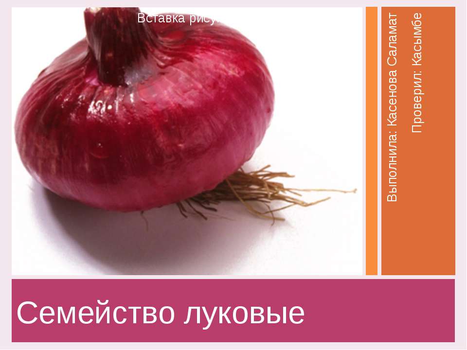 Семейство луковые - Класс учебник | Академический школьный учебник скачать | Сайт школьных книг учебников uchebniki.org.ua