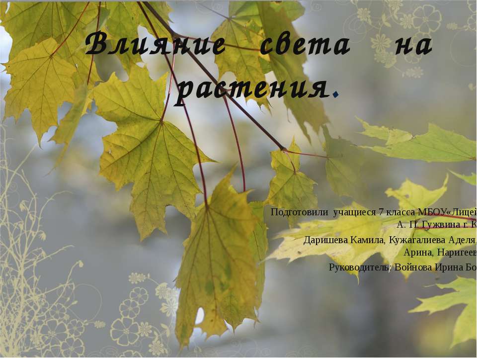 Влияние света на растения - Класс учебник | Академический школьный учебник скачать | Сайт школьных книг учебников uchebniki.org.ua