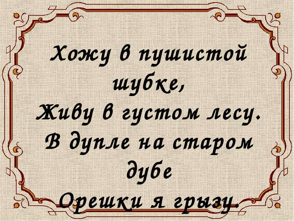 Белочка - Класс учебник | Академический школьный учебник скачать | Сайт школьных книг учебников uchebniki.org.ua