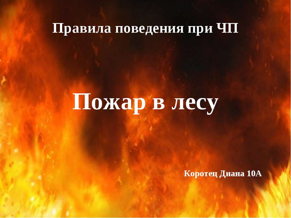 Пожар в лесу - Класс учебник | Академический школьный учебник скачать | Сайт школьных книг учебников uchebniki.org.ua