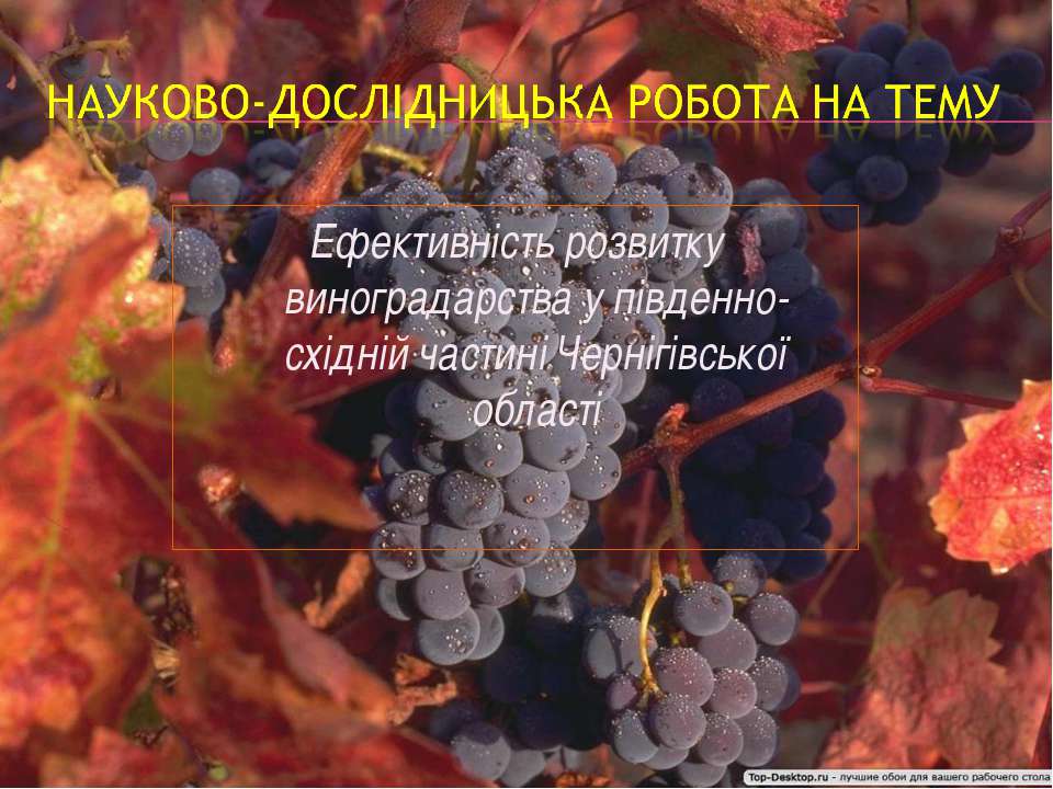 НДР Ефективність розвитку виноградарства - Класс учебник | Академический школьный учебник скачать | Сайт школьных книг учебников uchebniki.org.ua