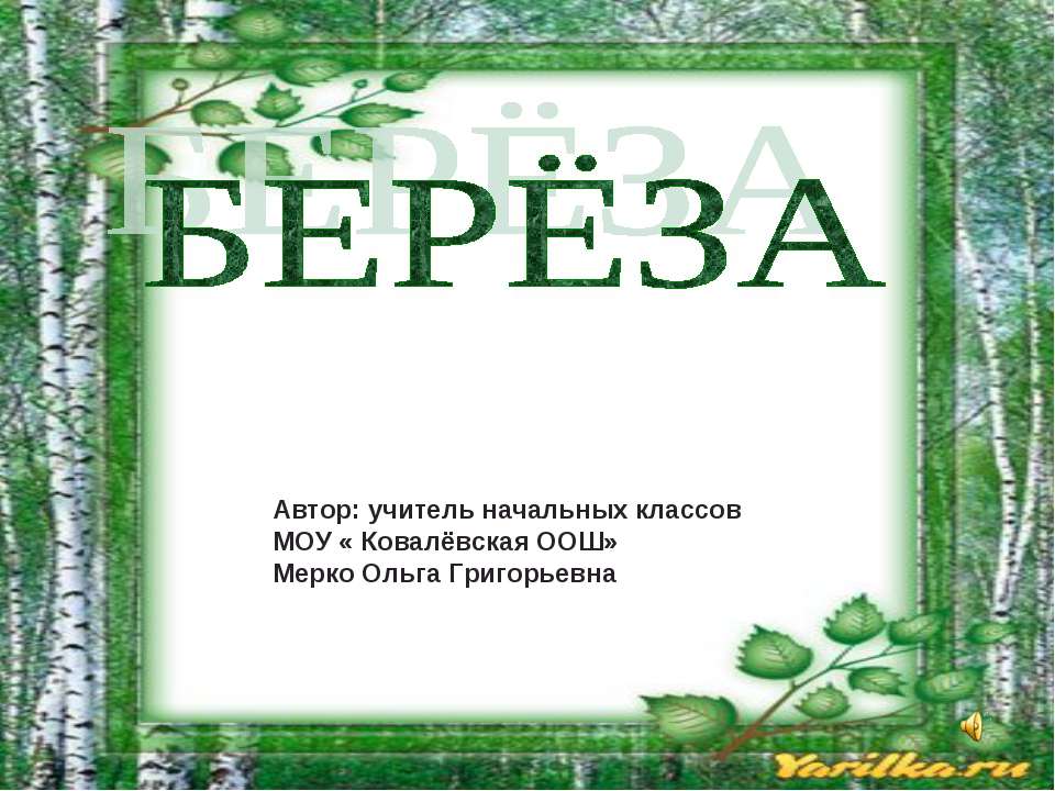 Берёза - Класс учебник | Академический школьный учебник скачать | Сайт школьных книг учебников uchebniki.org.ua