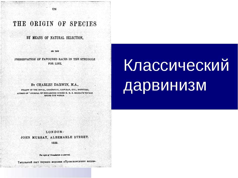 Классический дарвинизм - Класс учебник | Академический школьный учебник скачать | Сайт школьных книг учебников uchebniki.org.ua