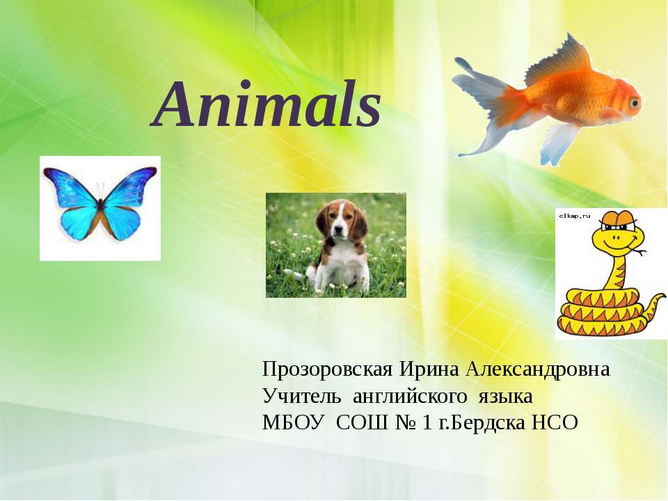 Animals - Класс учебник | Академический школьный учебник скачать | Сайт школьных книг учебников uchebniki.org.ua