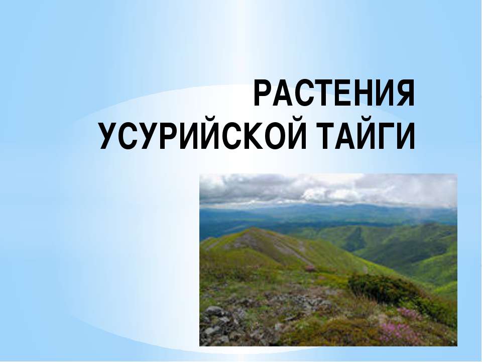 Растения Уссурийской Тайги - Класс учебник | Академический школьный учебник скачать | Сайт школьных книг учебников uchebniki.org.ua