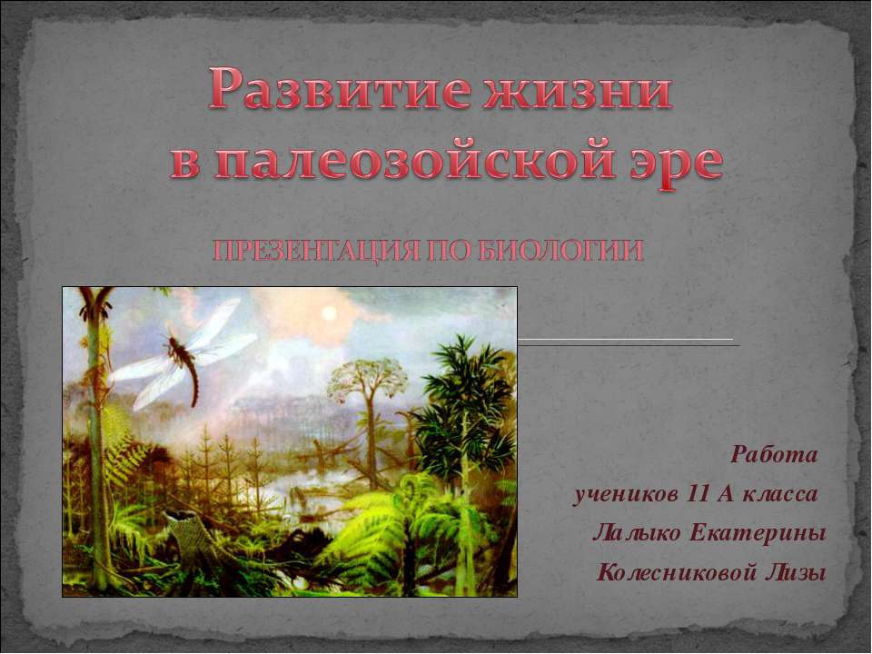 Развитие жизни в палеозойской эре - Класс учебник | Академический школьный учебник скачать | Сайт школьных книг учебников uchebniki.org.ua