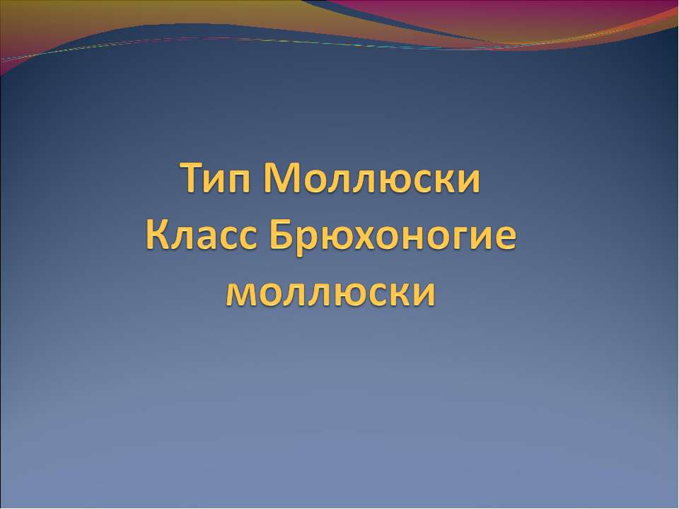 Тип Моллюски Класс Брюхоногие моллюски - Класс учебник | Академический школьный учебник скачать | Сайт школьных книг учебников uchebniki.org.ua