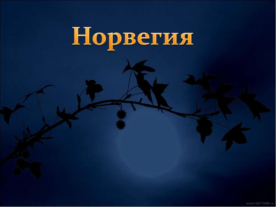 Норвегия - Класс учебник | Академический школьный учебник скачать | Сайт школьных книг учебников uchebniki.org.ua