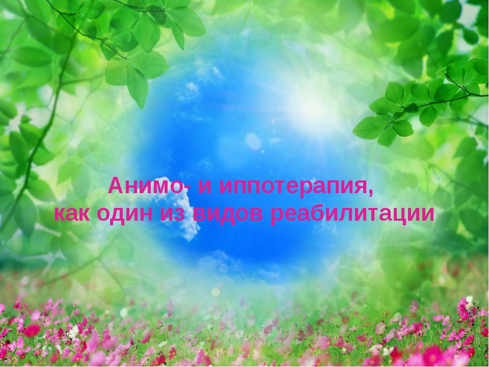 Анимо - и иппотерапия, как один из видов реабилитации - Класс учебник | Академический школьный учебник скачать | Сайт школьных книг учебников uchebniki.org.ua