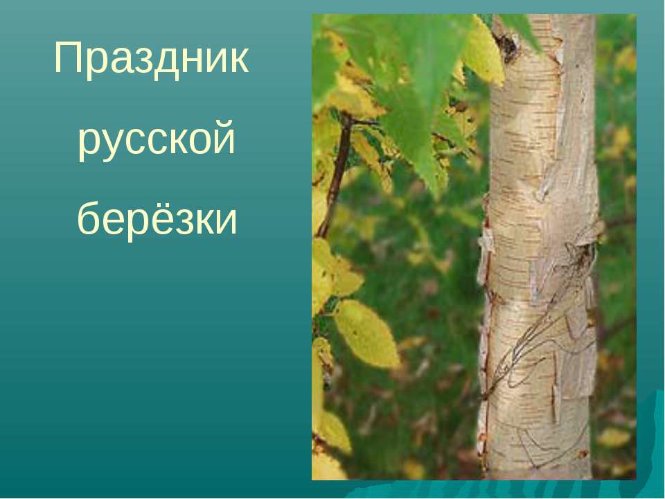 Праздник русской берёзки - Класс учебник | Академический школьный учебник скачать | Сайт школьных книг учебников uchebniki.org.ua