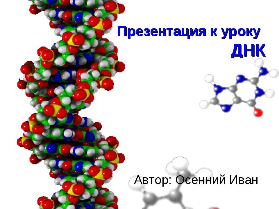 ДНК - Класс учебник | Академический школьный учебник скачать | Сайт школьных книг учебников uchebniki.org.ua