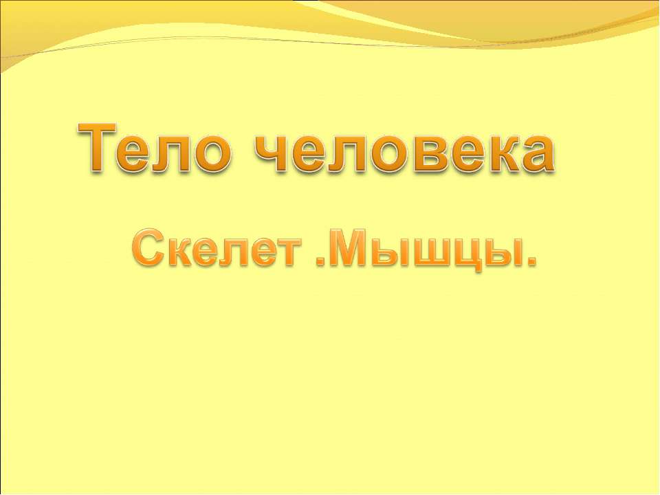 Тело человека Скелет .Мышцы - Класс учебник | Академический школьный учебник скачать | Сайт школьных книг учебников uchebniki.org.ua