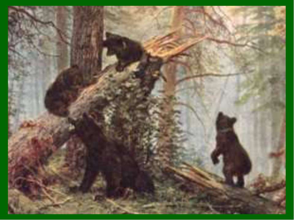 Бурый медведь - Класс учебник | Академический школьный учебник скачать | Сайт школьных книг учебников uchebniki.org.ua