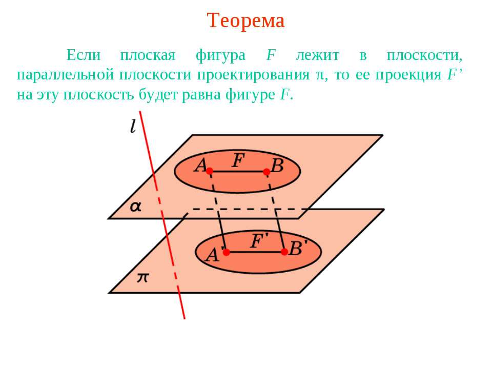 Параллельной проекцией равностороннего треугольника может быть треугольник произвольной формы - Класс учебник | Академический школьный учебник скачать | Сайт школьных книг учебников uchebniki.org.ua