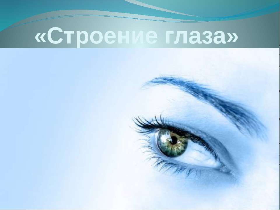 Строение глаза - Класс учебник | Академический школьный учебник скачать | Сайт школьных книг учебников uchebniki.org.ua