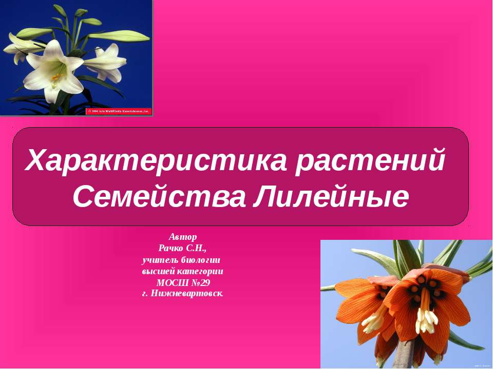 Характеристика растений. Семейства Лилейные - Класс учебник | Академический школьный учебник скачать | Сайт школьных книг учебников uchebniki.org.ua