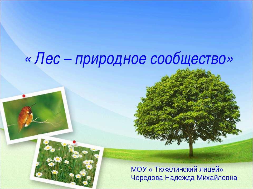 Лес – природное сообщество - Класс учебник | Академический школьный учебник скачать | Сайт школьных книг учебников uchebniki.org.ua