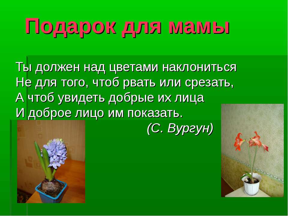 Комнатные растения — наши друзья - Класс учебник | Академический школьный учебник скачать | Сайт школьных книг учебников uchebniki.org.ua