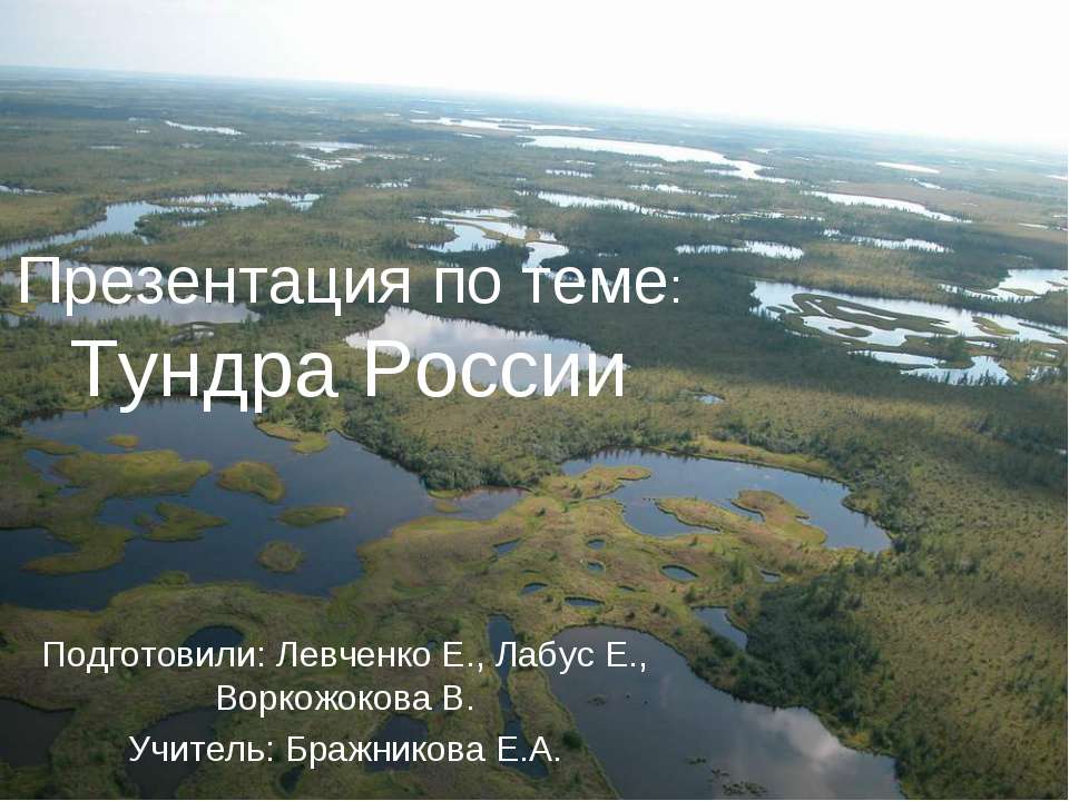 Тундра России - Класс учебник | Академический школьный учебник скачать | Сайт школьных книг учебников uchebniki.org.ua