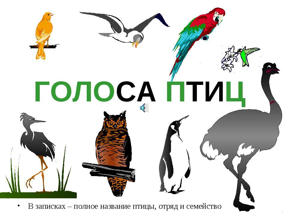 Голоса птиц - Класс учебник | Академический школьный учебник скачать | Сайт школьных книг учебников uchebniki.org.ua