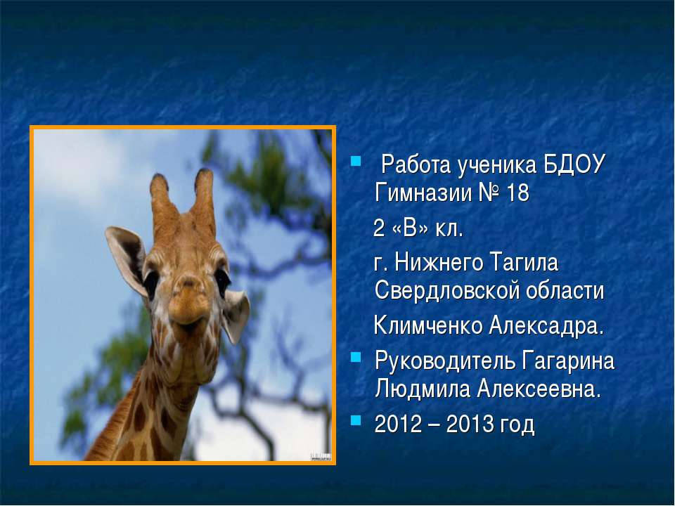 Что то очень - очень нтересное про жирафов - Класс учебник | Академический школьный учебник скачать | Сайт школьных книг учебников uchebniki.org.ua