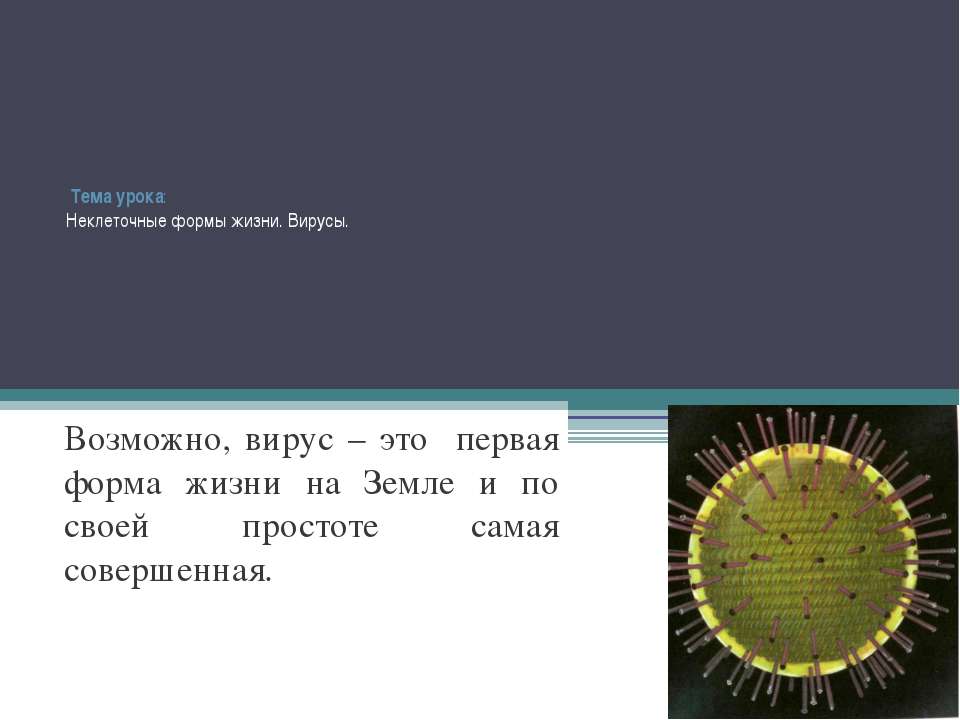 Неклеточные формы жизни. Вирусы - Класс учебник | Академический школьный учебник скачать | Сайт школьных книг учебников uchebniki.org.ua