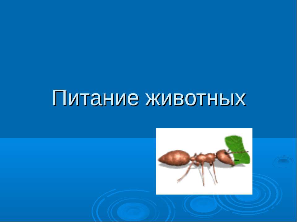 Питание животных - Класс учебник | Академический школьный учебник скачать | Сайт школьных книг учебников uchebniki.org.ua