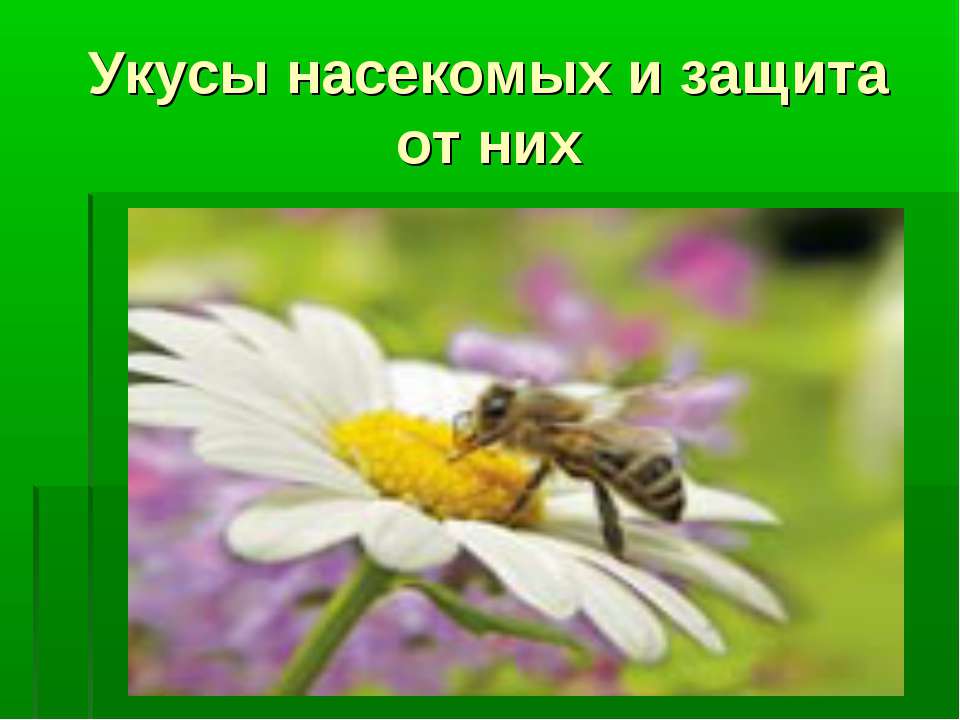 Укусы насекомых и защита от них - Класс учебник | Академический школьный учебник скачать | Сайт школьных книг учебников uchebniki.org.ua