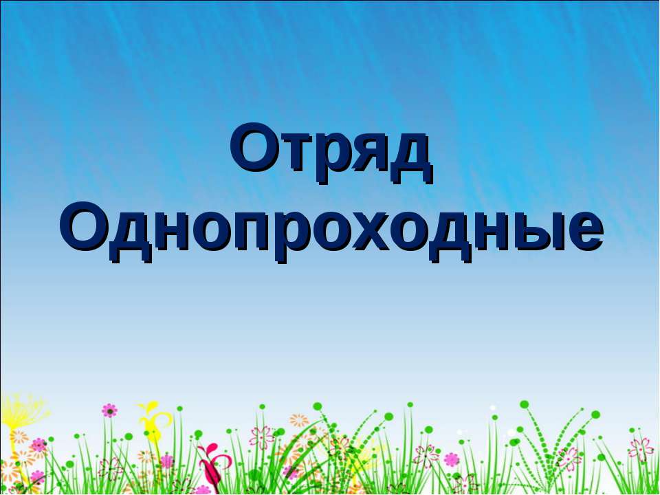 Отряд Однопроходные - Класс учебник | Академический школьный учебник скачать | Сайт школьных книг учебников uchebniki.org.ua