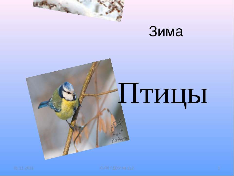 Зима. Птицы - Класс учебник | Академический школьный учебник скачать | Сайт школьных книг учебников uchebniki.org.ua