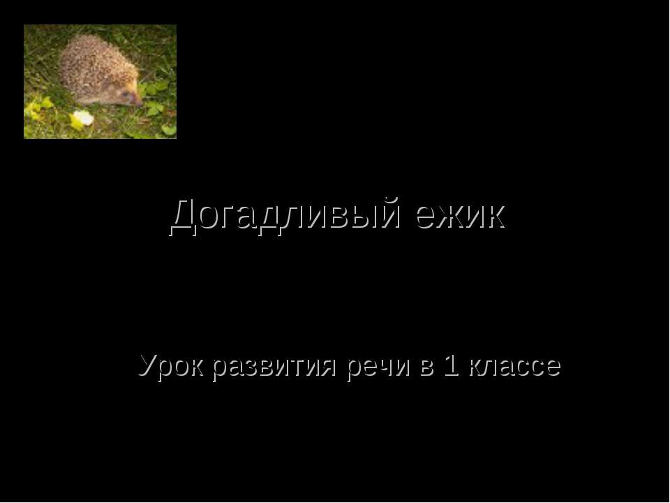 Догадливый ежик - Класс учебник | Академический школьный учебник скачать | Сайт школьных книг учебников uchebniki.org.ua