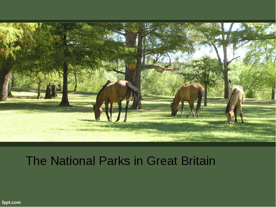 The National Parks in Great Britain - Класс учебник | Академический школьный учебник скачать | Сайт школьных книг учебников uchebniki.org.ua